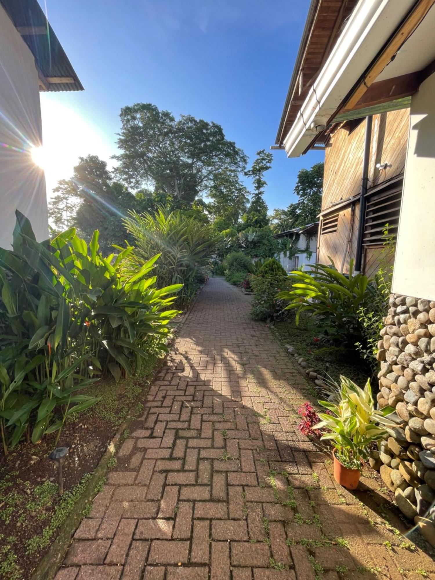 Perla Negra Beachfront Puerto Viejo de Talamanca Exterior foto